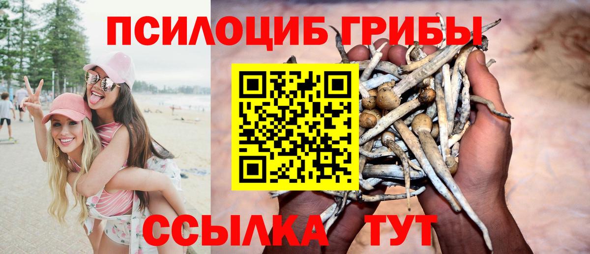 Псилоцибиновые грибы MAGIC MUSHROOMS Рыбинск